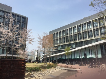 引越し&入学式 引越し&入学式
