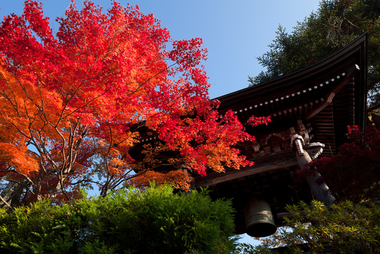 今年こそ綺麗な紅葉を写真に収めたい!Vol.3 東山寺町 今年こそ綺麗な紅葉を写真に収めたい!Vol.3 東山寺町