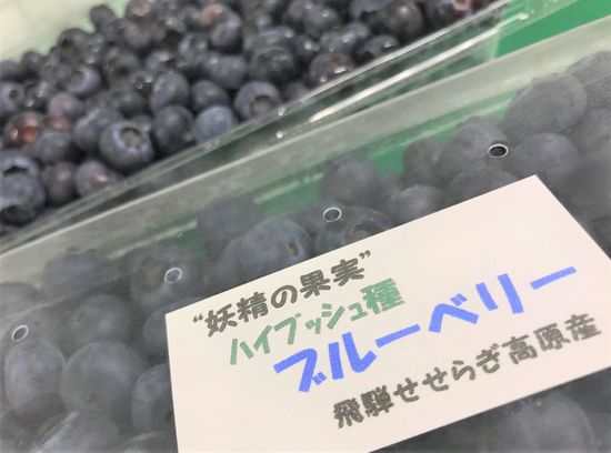 飛騨メロン&治助ブルーベリー 飛騨メロン&治助ブルーベリー