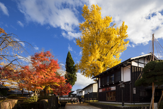 今年こそ綺麗な紅葉を写真に収めたい!Vol.7 福全寺 今年こそ綺麗な紅葉を写真に収めたい!Vol.7 福全寺