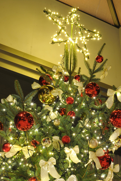 2015クリスマスツリー 2015クリスマスツリー