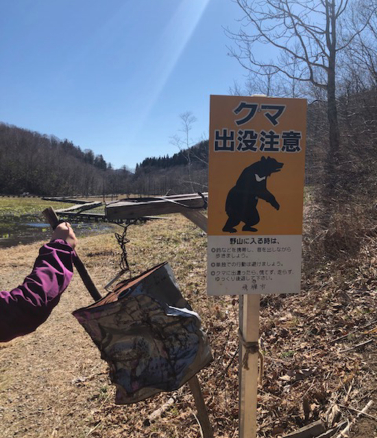 池ヶ原湿原へ行ってきました 池ヶ原湿原へ行ってきました