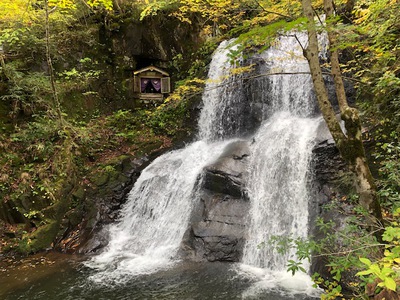 10/30 高山の紅葉情報《速報》~宇津江四十八滝~ 10/30 高山の紅葉情報《速報》~宇津江四十八滝~
