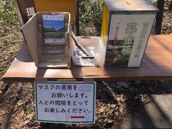 池ヶ原湿原へ行ってきました 池ヶ原湿原へ行ってきました