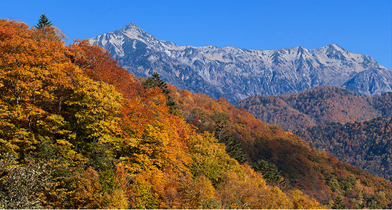 今年こそ綺麗な紅葉を写真に収めたい!Vol.9 平湯峠 今年こそ綺麗な紅葉を写真に収めたい!Vol.9 平湯峠
