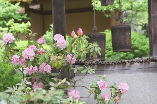 春を振り返る 春を振り返る