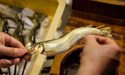 今が旬の「鮎」 今が旬の「鮎」