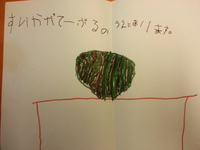 初めての絵本☆