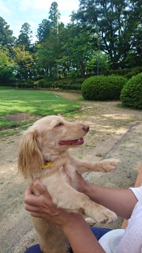 優しいお兄ちゃん♥ 優しいお兄ちゃん♥
