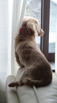 外に憧れて♥ 外に憧れて♥