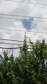ふと空を見ると… ふと空を見ると…