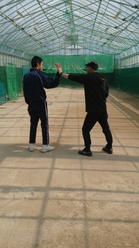 富山スポーツ整体 富山スポーツ整体