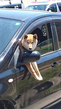 うとうと うとうと
