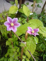 風に吹かれて