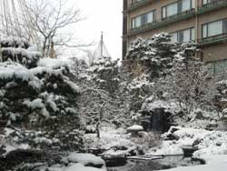 本日も雪・・・