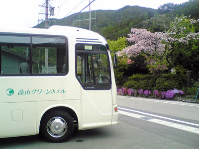 桜が咲いてました