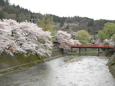 桜便り2012 vol.3 ~赤い中橋~