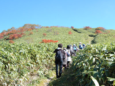 川上岳トレッキングツアー