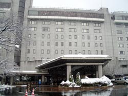元旦