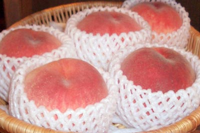 「飛騨桃」が最盛期