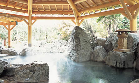 飛騨高山温泉　新天領の湯