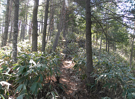 原山歩きのすすめ