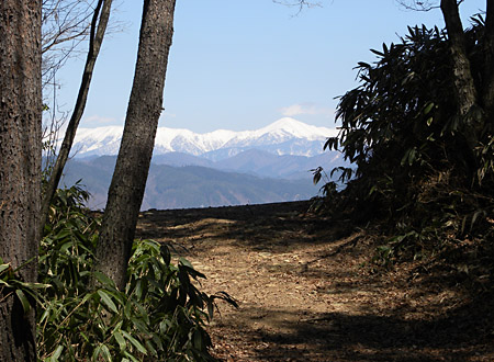 原山歩きのすすめ