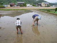 家族で田植え☆