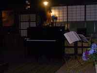 真夏の夜の夢