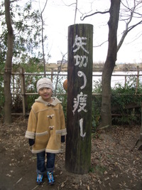 柴又帝釈天