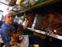 大きな伊勢海老