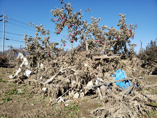 長野県支援活動11月15日 長野県支援活動11月15日