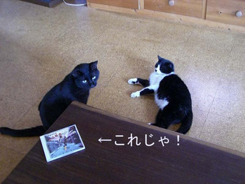 Stand by me