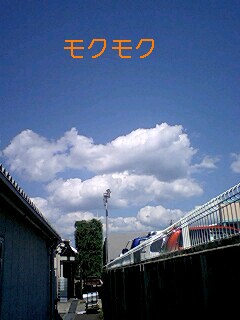わたがしみたぁい