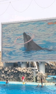 ショーは最高!(b^ー°)