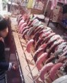 高山祭り☆