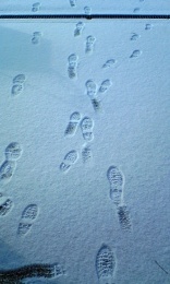 雪のお絵かき☆
