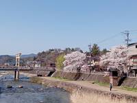 自分と向き合うことが苦手だった。 2024/04/14 21:19:53