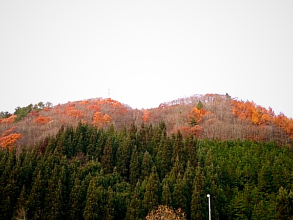 紅葉も終わりですね