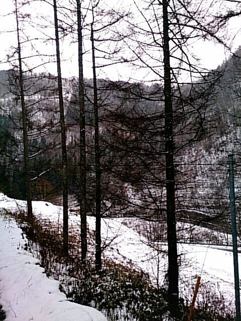 雪がまた積もっております。