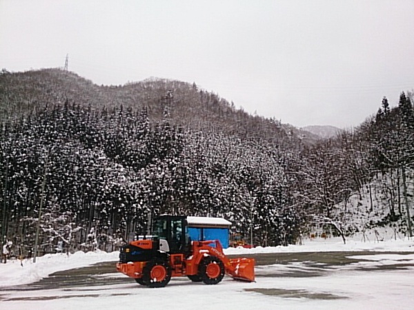 雪の様子です。