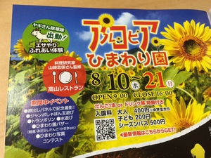 ☆アルコピアひまわりイベント☆