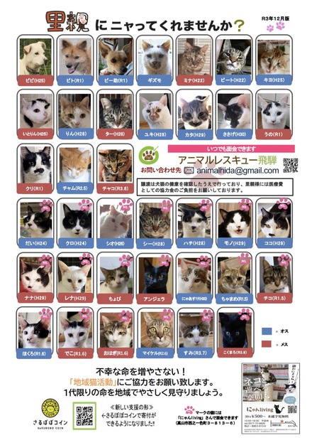 里親募集中のワンにゃんです！