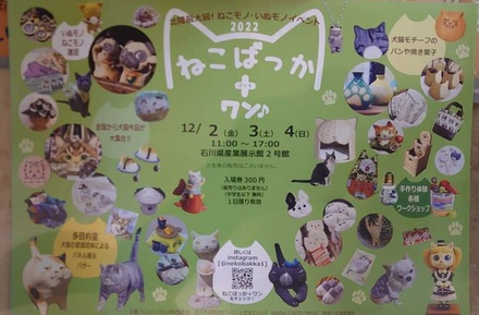 「ねこばっか＋ワン」に参加しています！