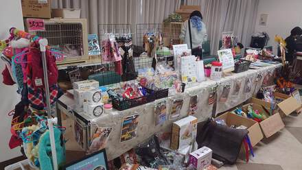 「ねこばっか＋ワン」に参加しています！