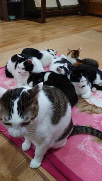 あけましておめでとうございます