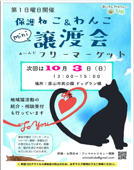 ピー助、明日の譲渡会に参加します！