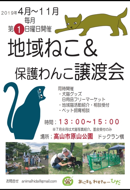 日曜日の譲渡会に参加します！
