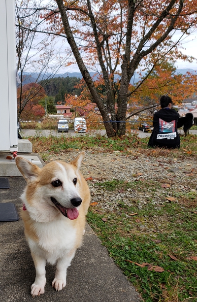 譲渡会、15時までやってます♪
