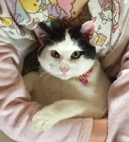 ルル、頑張ってます